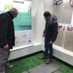 Marazzi at Paysalia 2017 Wincer Project (3)